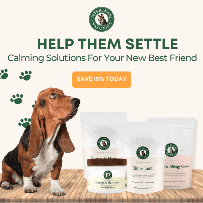 Norwalk Pizza Hut Fundraiser March 10 Donates 20% to Whiskers TNR