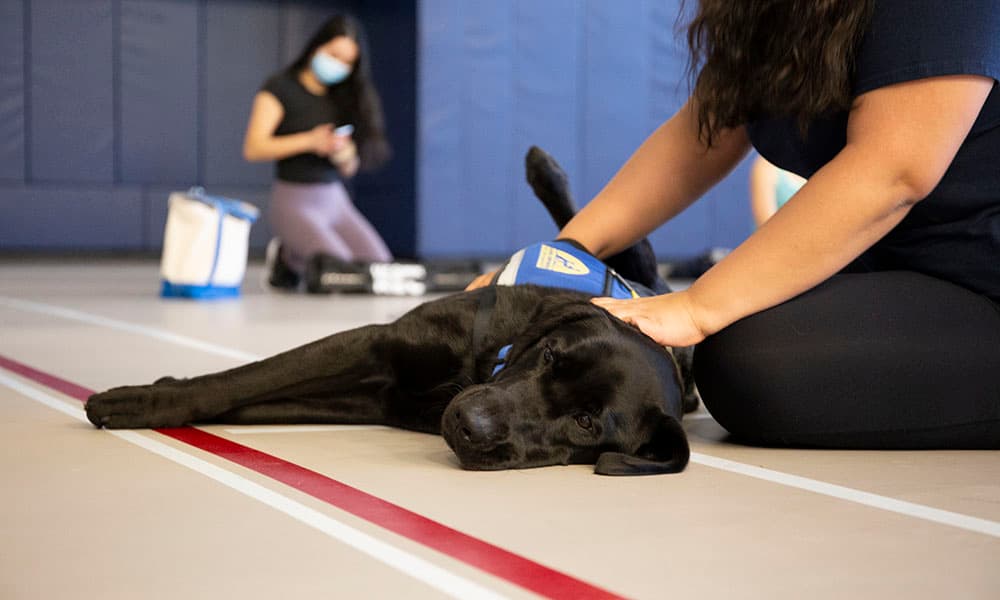 UConn brings back doga session with Tildy and Carson
