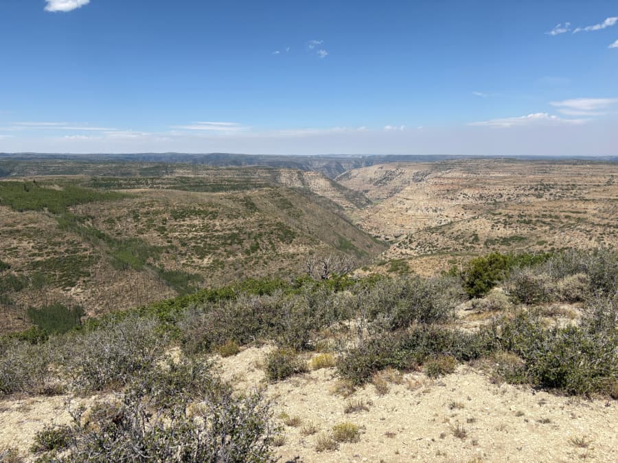 Utah adds 50,000-acre Book Cliffs tract to wildlife area