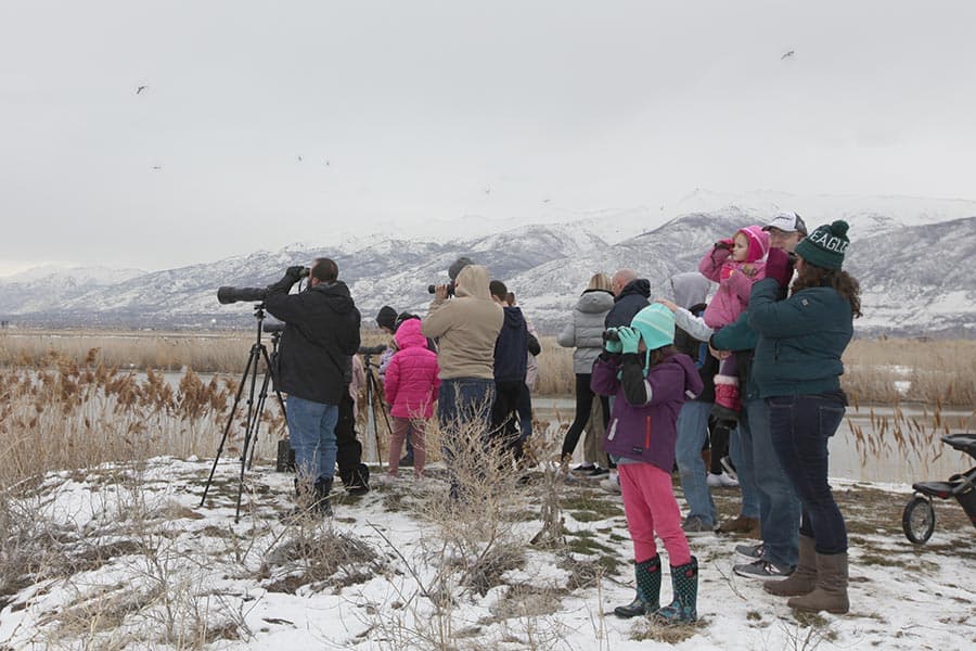 Riverside Nature Center in Farmington Offers Year-Round Wildlife Viewing, Trail Access