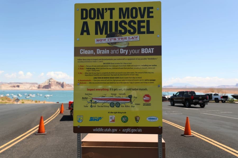 Utah reminds boaters to complete invasive species course before launch season