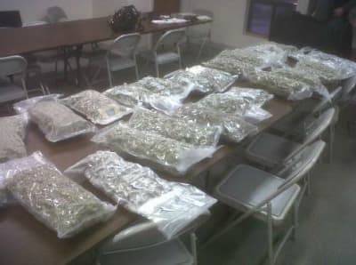 Morgan County 2017 Seizure Figures Used in Robert Fiels' 70-Month Sentence