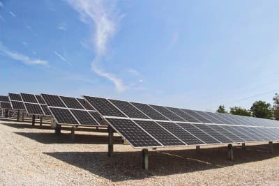 Nexamp plans Jacksonville open house for proposed Black’s Lane solar field