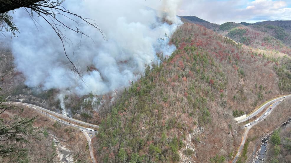 Forest Service Extends Permitless Local-Use Pisgah Firewood Collection Through 2026