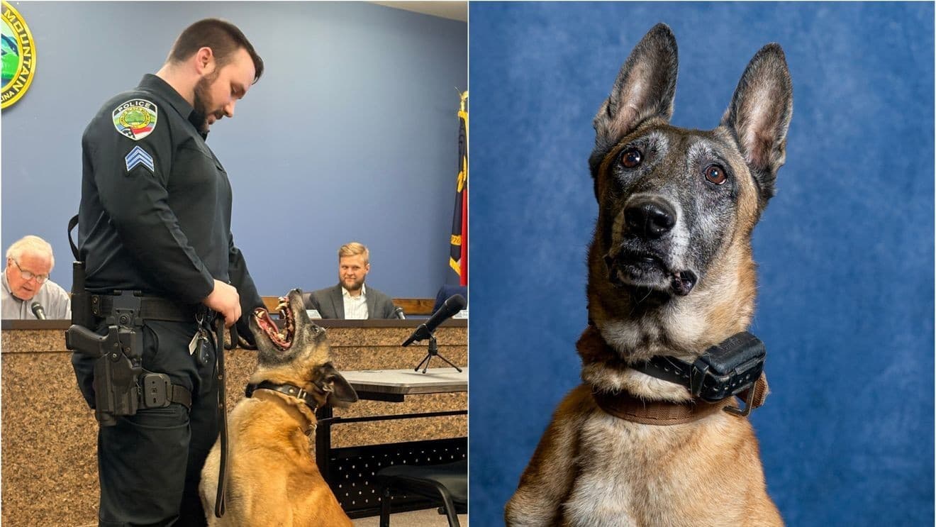 Black Mountain Police Honor Retiring K-9 Cayman After Eight Years of Service