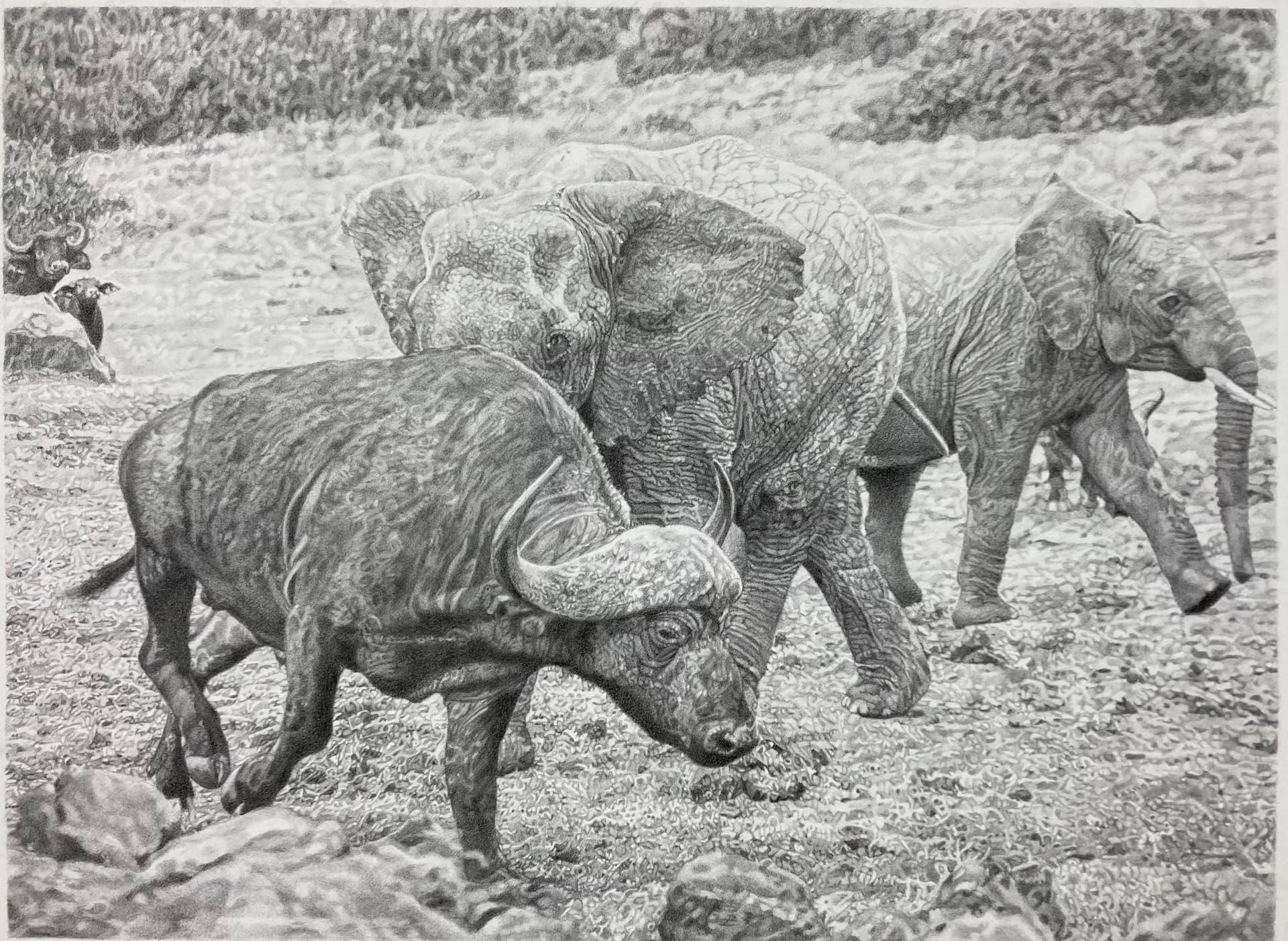 Bay Shore artist Jeanette Martone exhibition opens in Smithtown