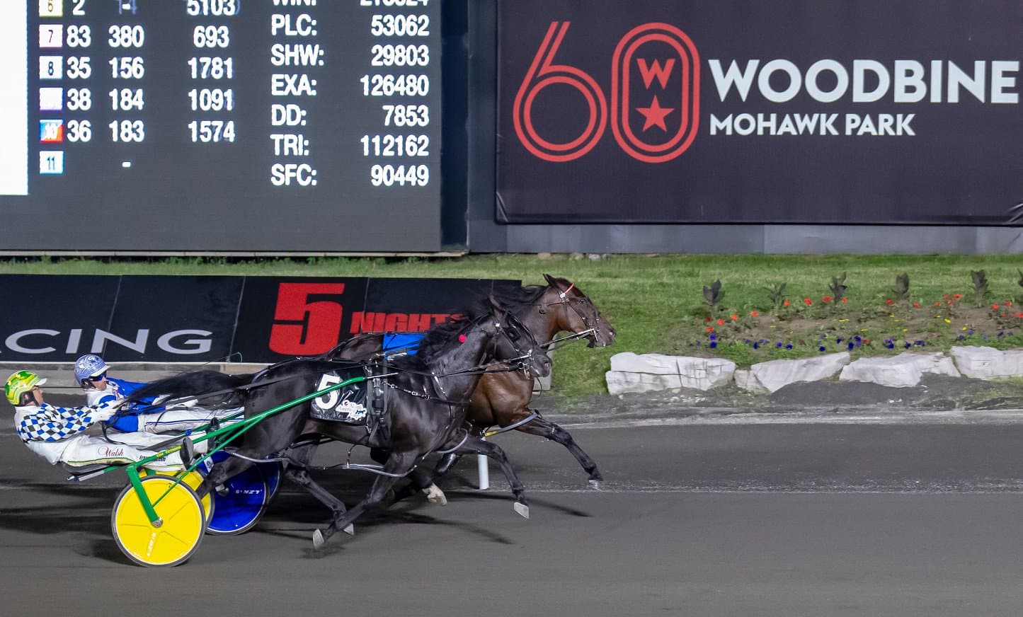 Champion Pacer Taurasi Euthanized After Injury at Woodbine Mohawk Park