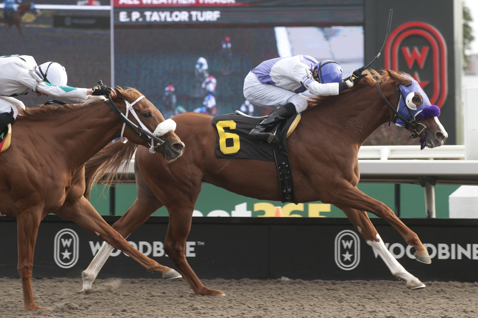 Stroke of Genius seeks breakout in Woodbine's Alywow Stakes
