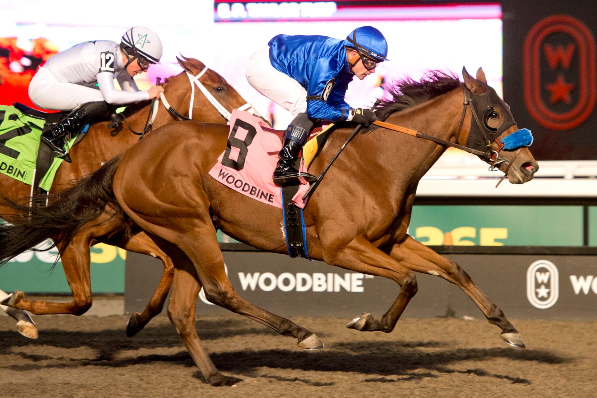 Jockey Club of Canada upgrades Algonquin to G3, BC Derby downgraded