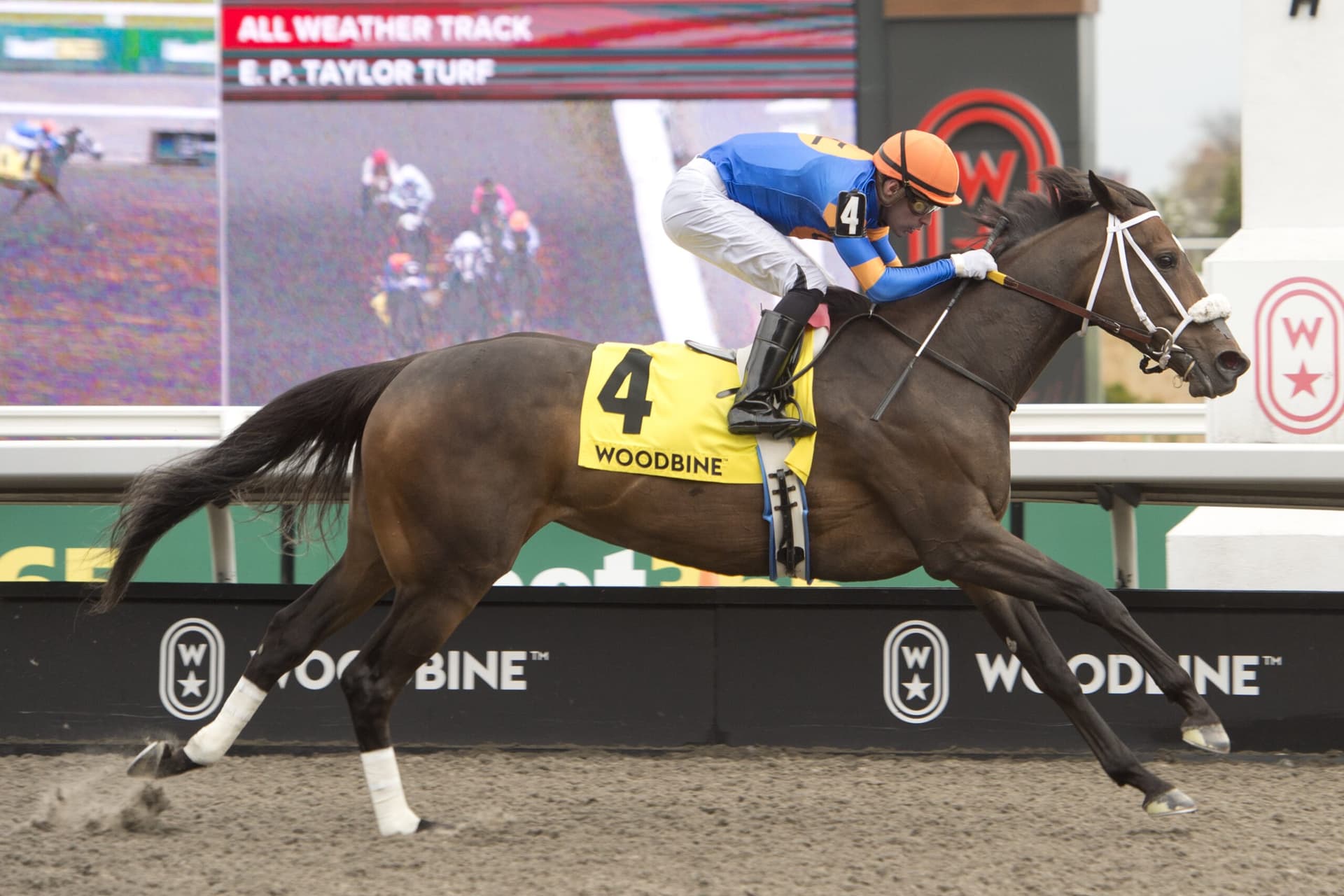 Reagan’s Flame rallies late to win Grade 3 Whimsical Stakes at Woodbine