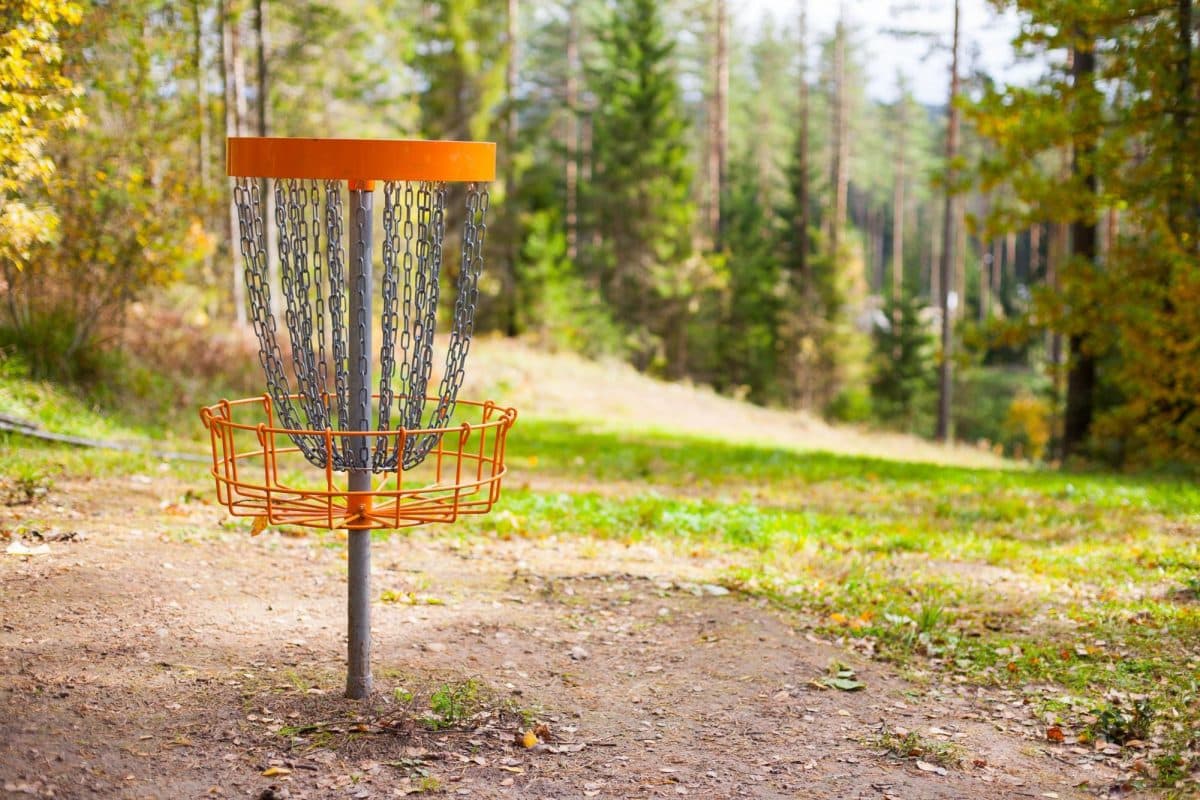 Woodbury plans first disc golf course as Tamarack pilot opens in June