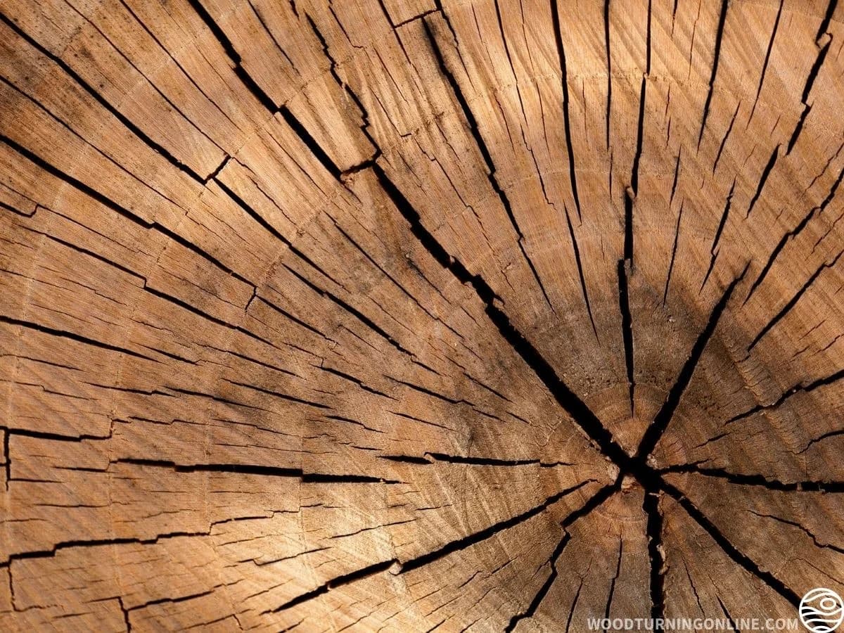 How to turn raw logs into usable woodturning blanks