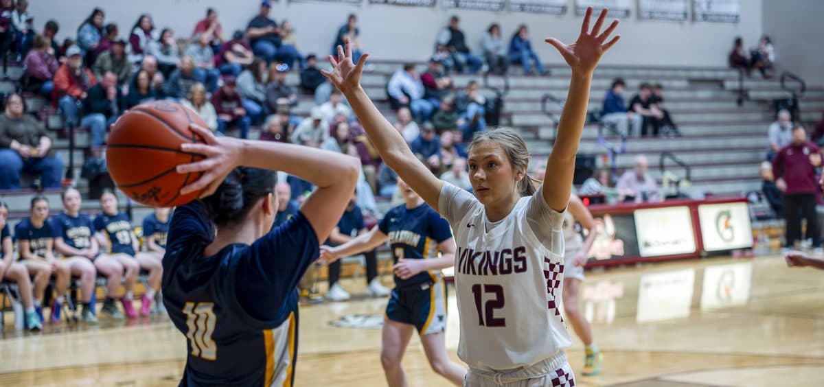 Vinton County Lady Vikings rout Wellston 62-17, force 27 turnovers