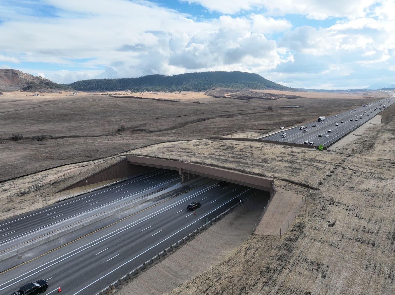 Greenland Wildlife Overpass Opens, Links 39,000 Acres, Boosts Safety