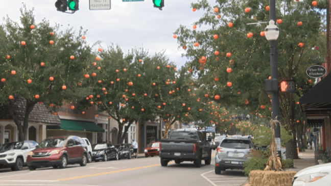 Downtown Halloween Draws 81 Merchants, Boosts Local Foot Traffic