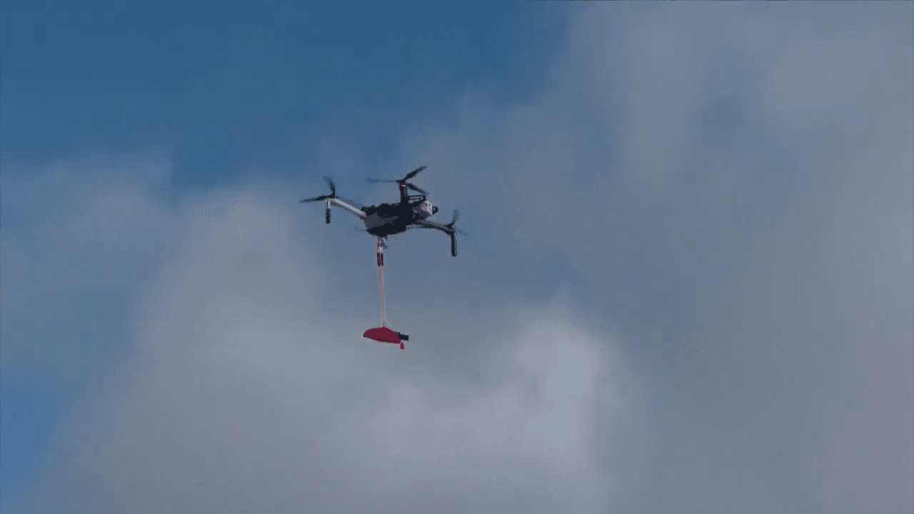 Lane County Deputies Arrest Elmira Man After Drone Search, Two Guns Seized