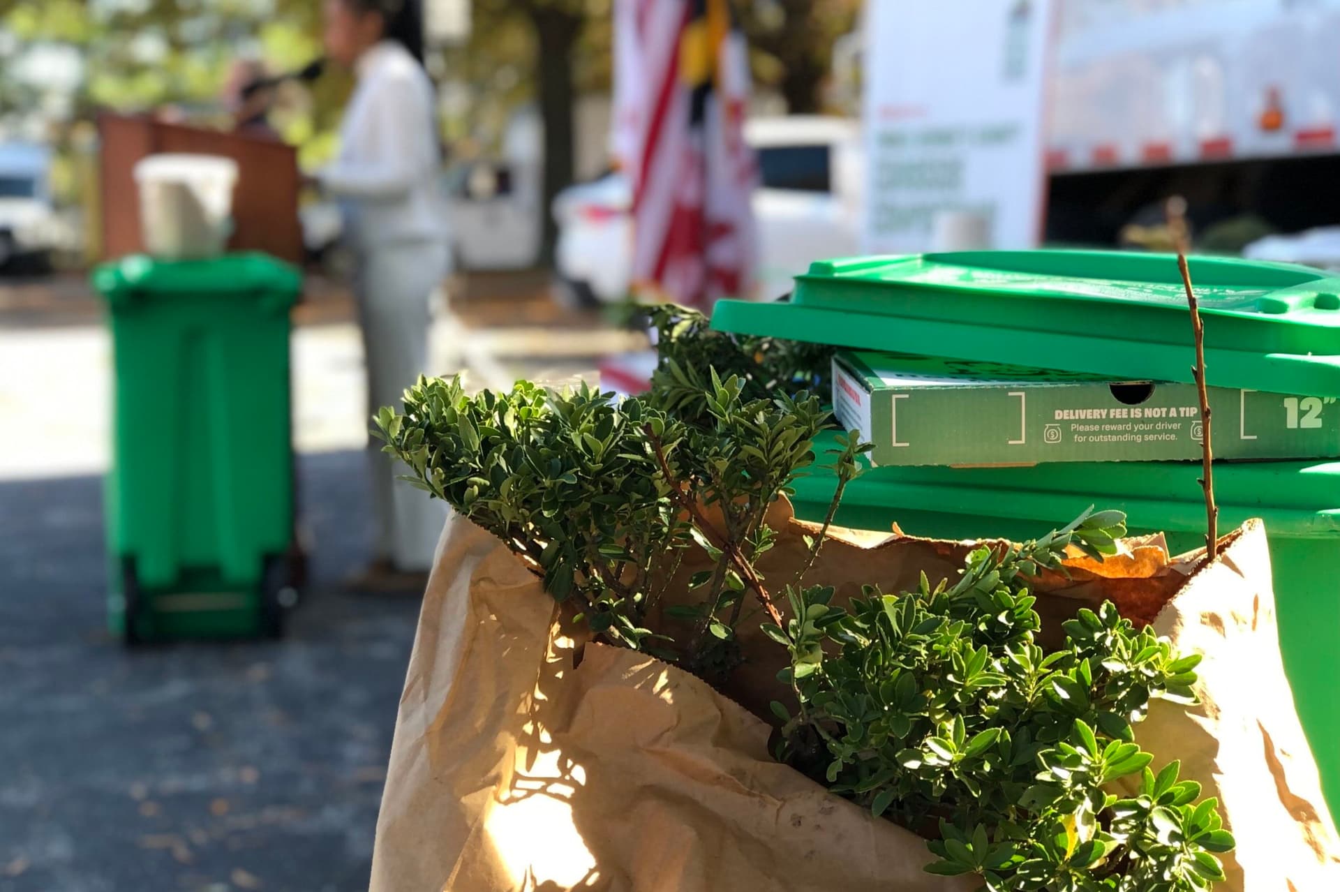 Prince George’s County Begins Christmas Tree Composting Program This Month