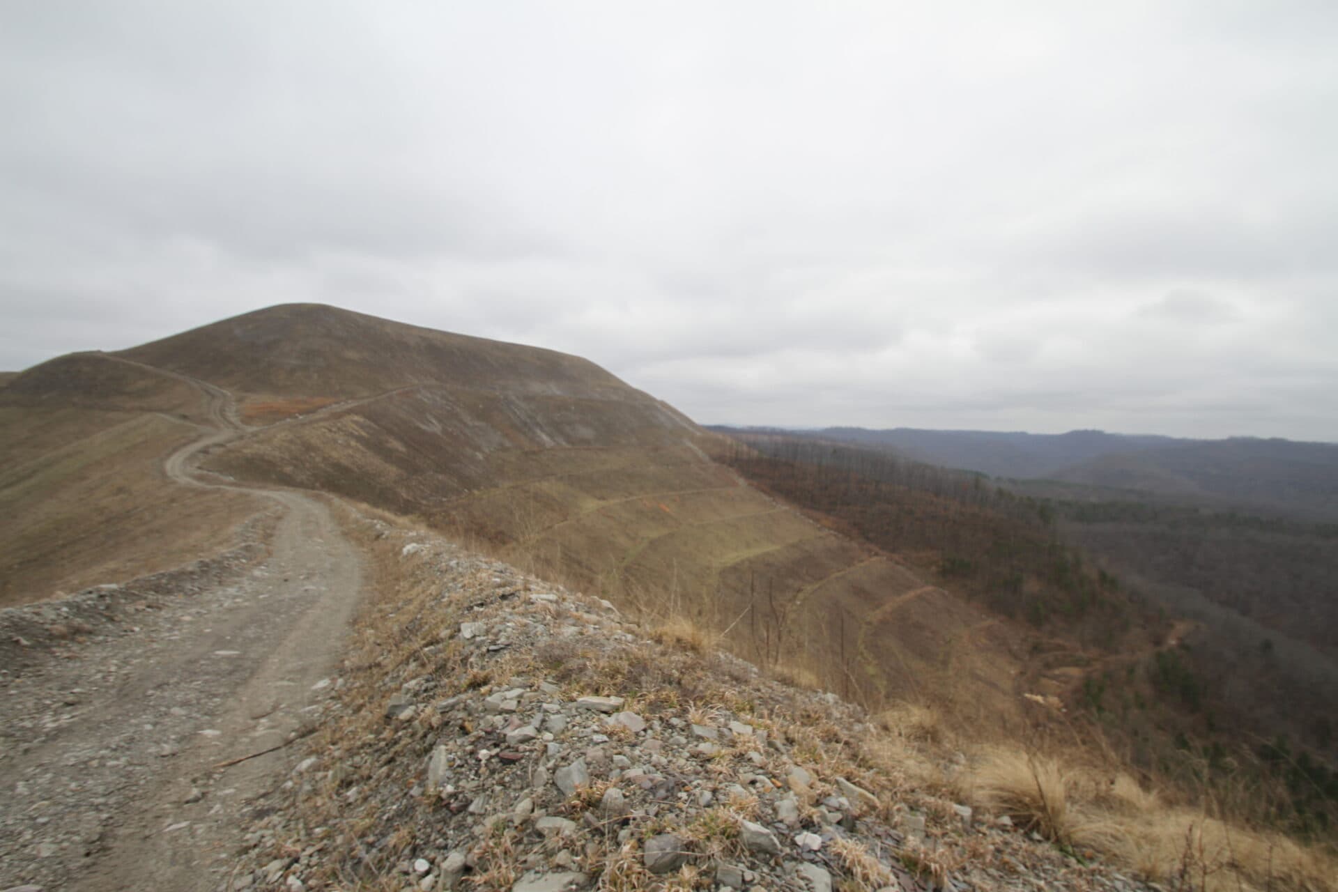 Coal Firm Seeks Bond Release on Reclaimed Mine Despite Missing Paperwork
