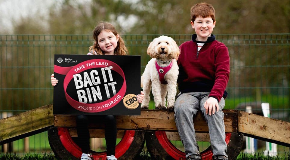 Ormeau Park Opens New Off-Leash Play Area for High-Energy Dogs