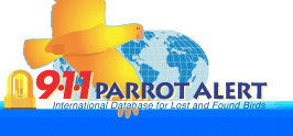 911 Parrot Alert logs fresh lost bird cases across North America
