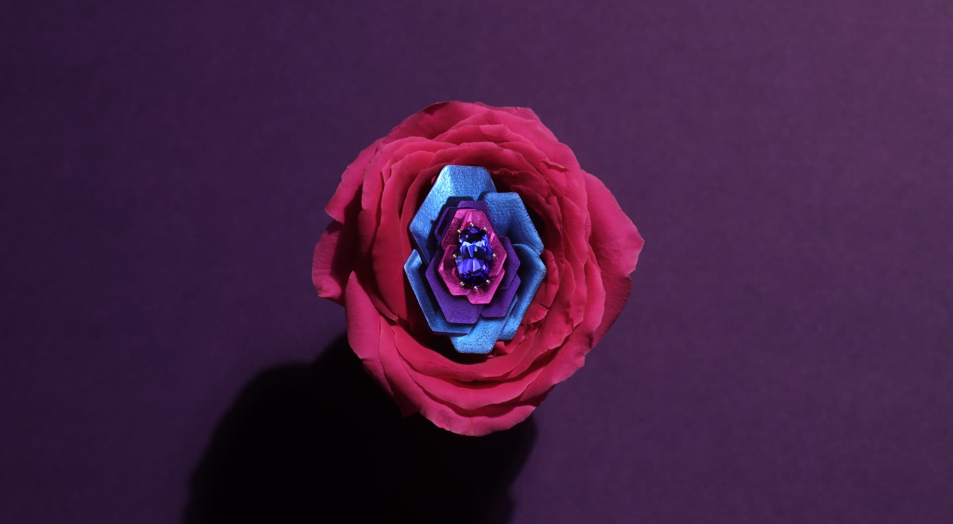 Adam Neeley's Dalí's Garden Debuts at PAD Paris with Surreal Color