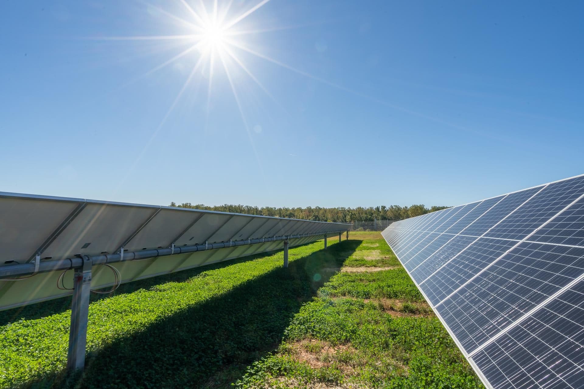 Huntingburg moratorium on commercial solar faces legal hurdles, council told