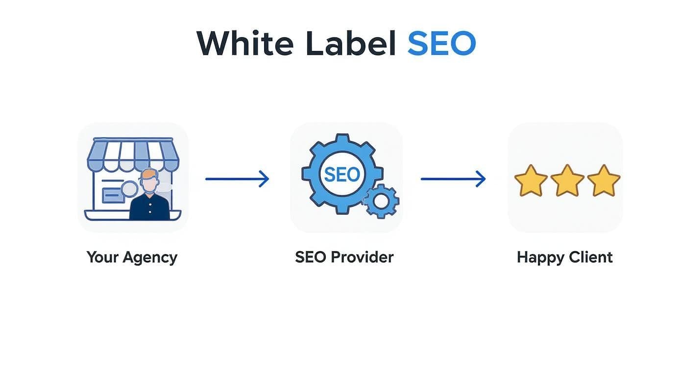 White Label SEO Helps Agencies Scale Without Building In-House Teams