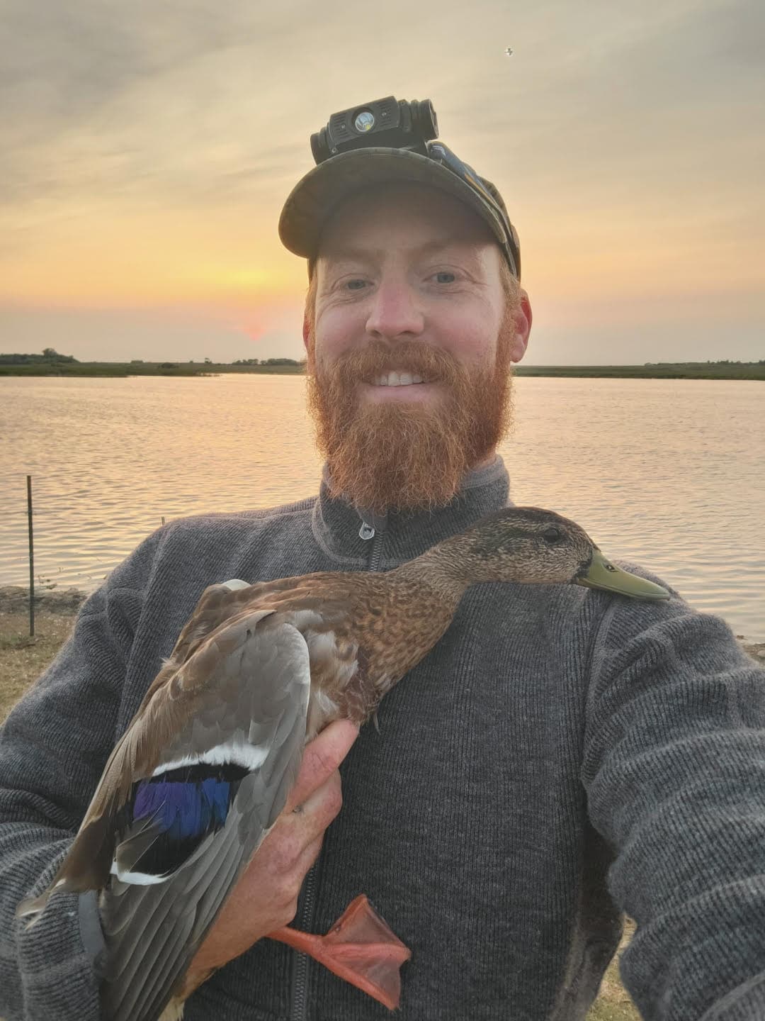 Biologists Band Thousands of Ducks, Data to Inform Phillips County Management