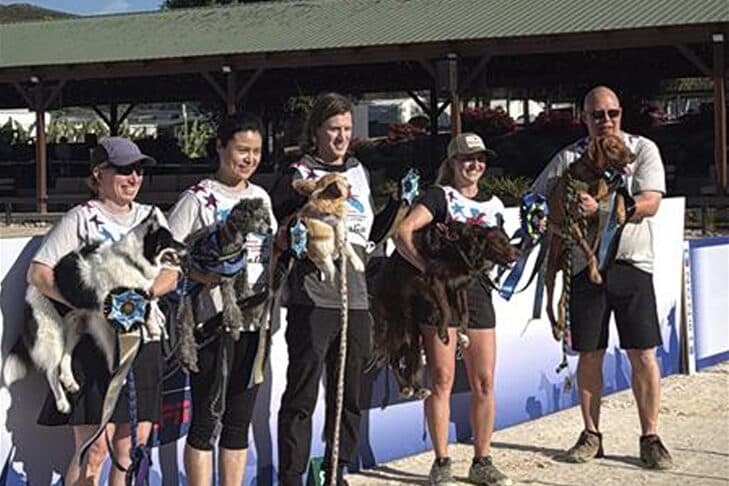 2026 AKC National Agility Championship Crowns Its Champions at Galway Downs