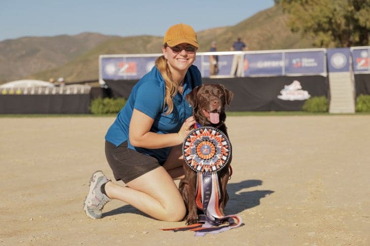 AKC names 2026 Diving Dogs Premier Cup champions after ESPN2 showcase