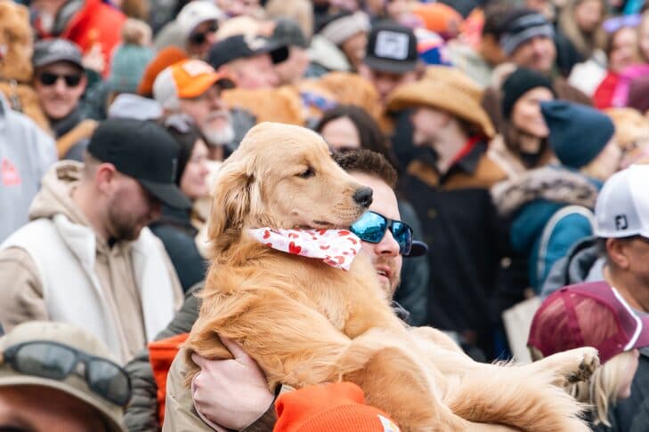 Breed meetups turn energetic dogs into social stars and community hubs
