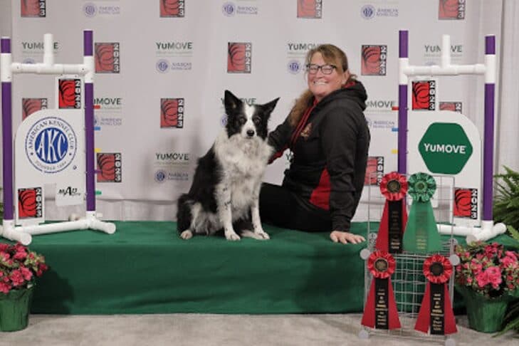 Rescued dog Paige makes history as first three-time agility grand champion