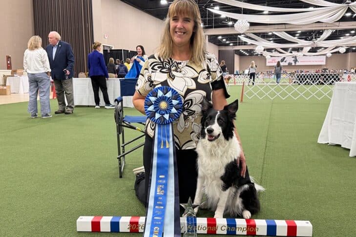 Border Collie Rain wins AKC Rally National Championship title