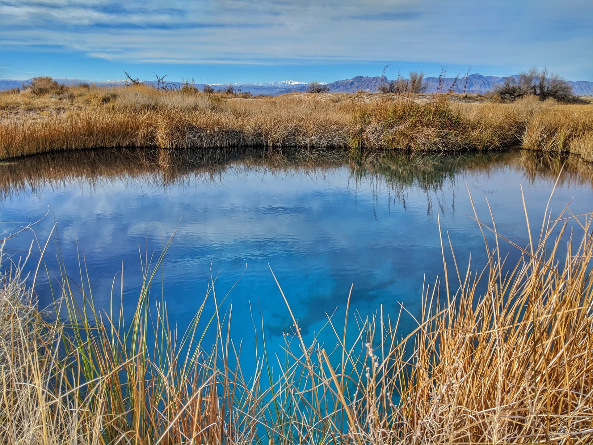 What Nye County Residents Should Know Before Visiting Ash Meadows Refuge