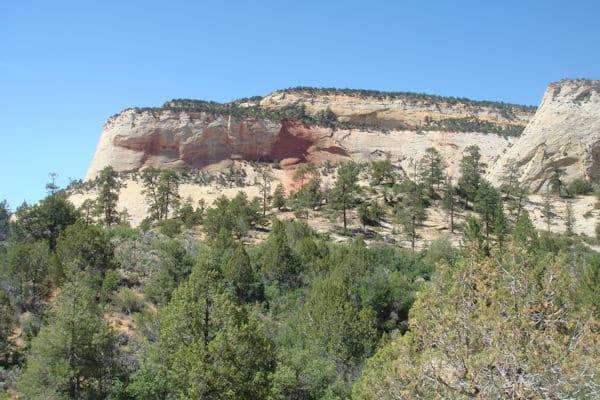 Lone Mesa State Park Remains Closed but Central to Local Conservation