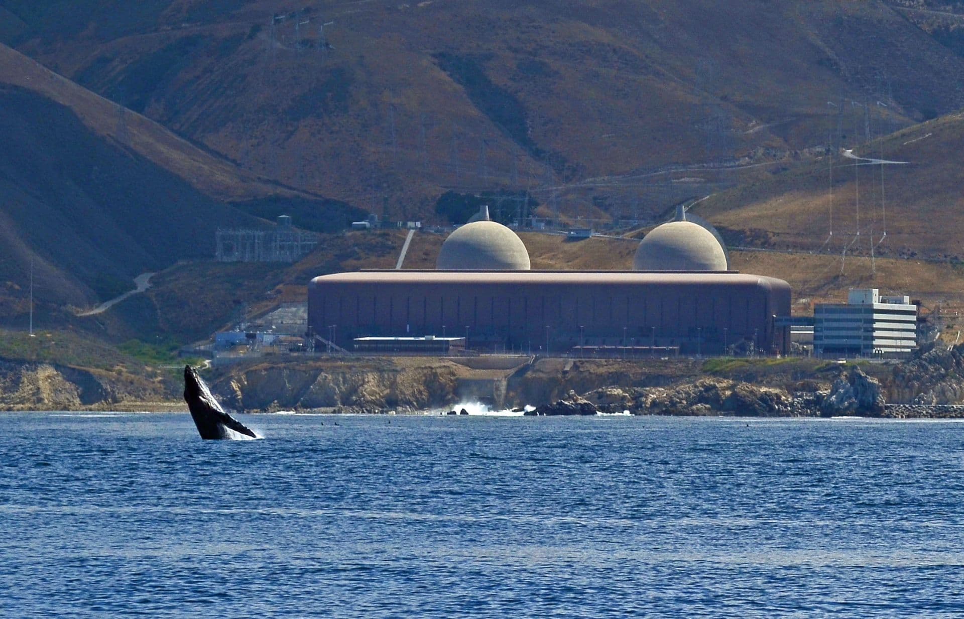 NRC Grants Diablo Canyon 20-Year License Extensions, Its 100th Renewal