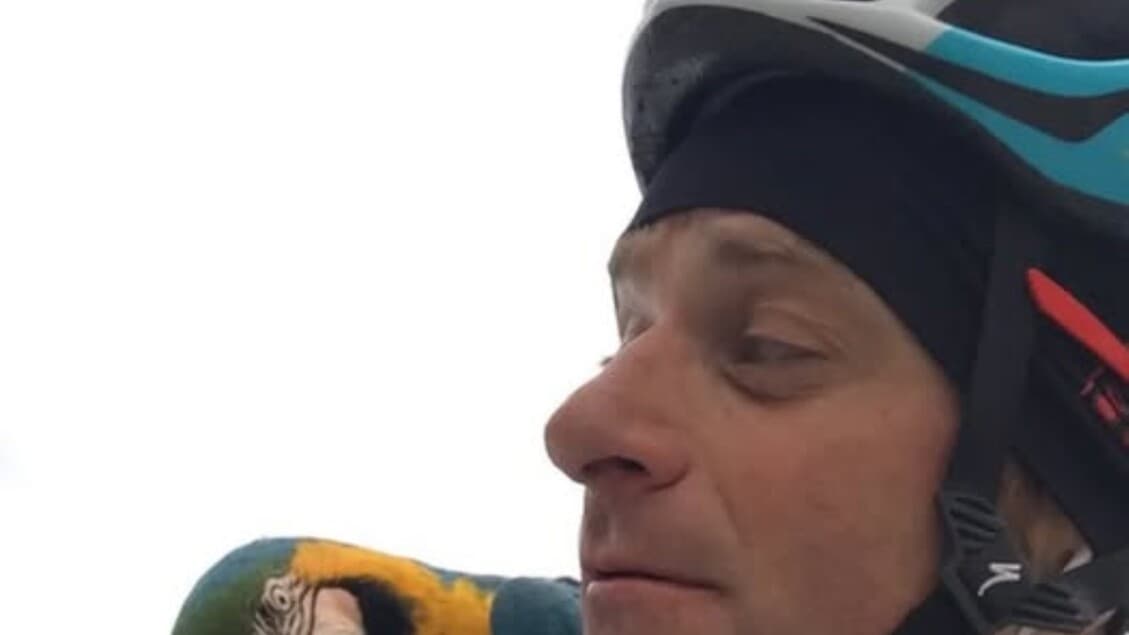 Franky the Parrot Who Flew Alongside Michele Scarponi Dies in Warehouse Fire