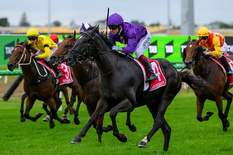 13-1 Torque To Be Sure Upsets Ninja in Guineas; Protest Dismissed