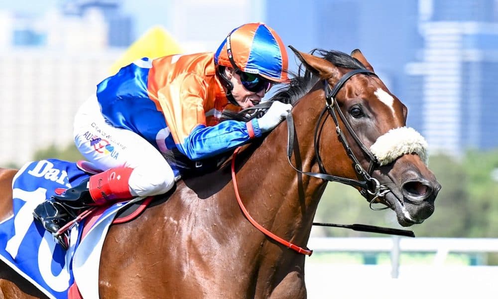 Grinzinger Heart Noses Out Zambles, Front-Running Win In G2 VRC Sires' Produce
