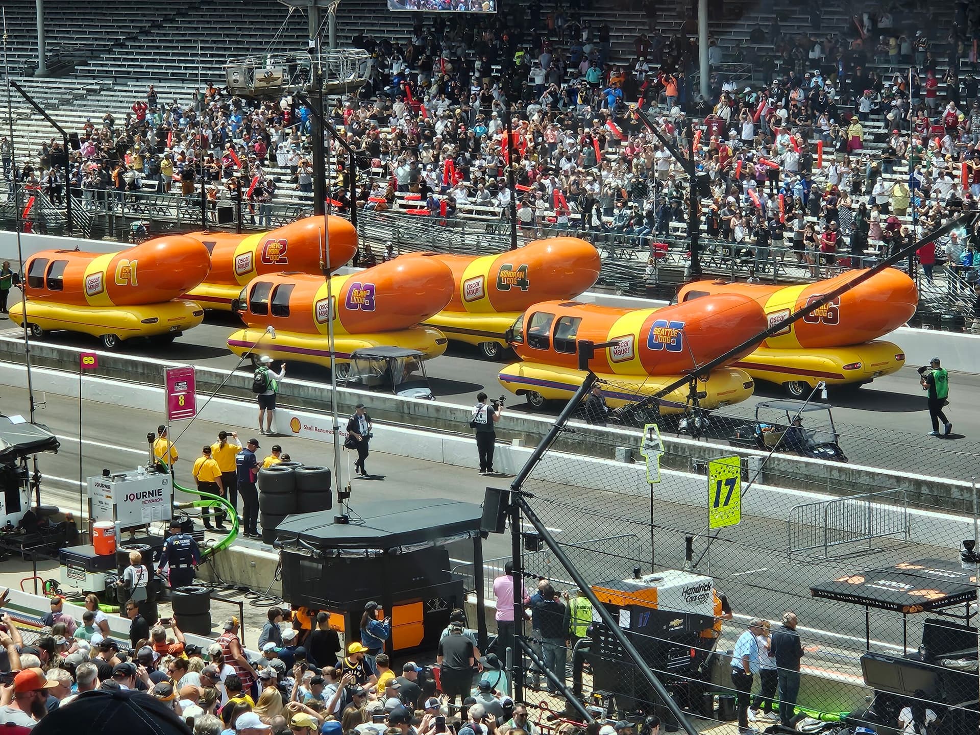 New York Dog wins second annual Wienie 500 at Indianapolis Motor Speedway