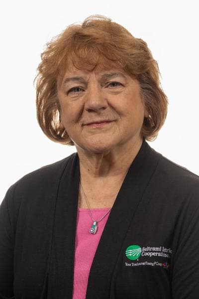 Beltrami Electric board member Sue Kringen wins MinnKota Red Lantern Award