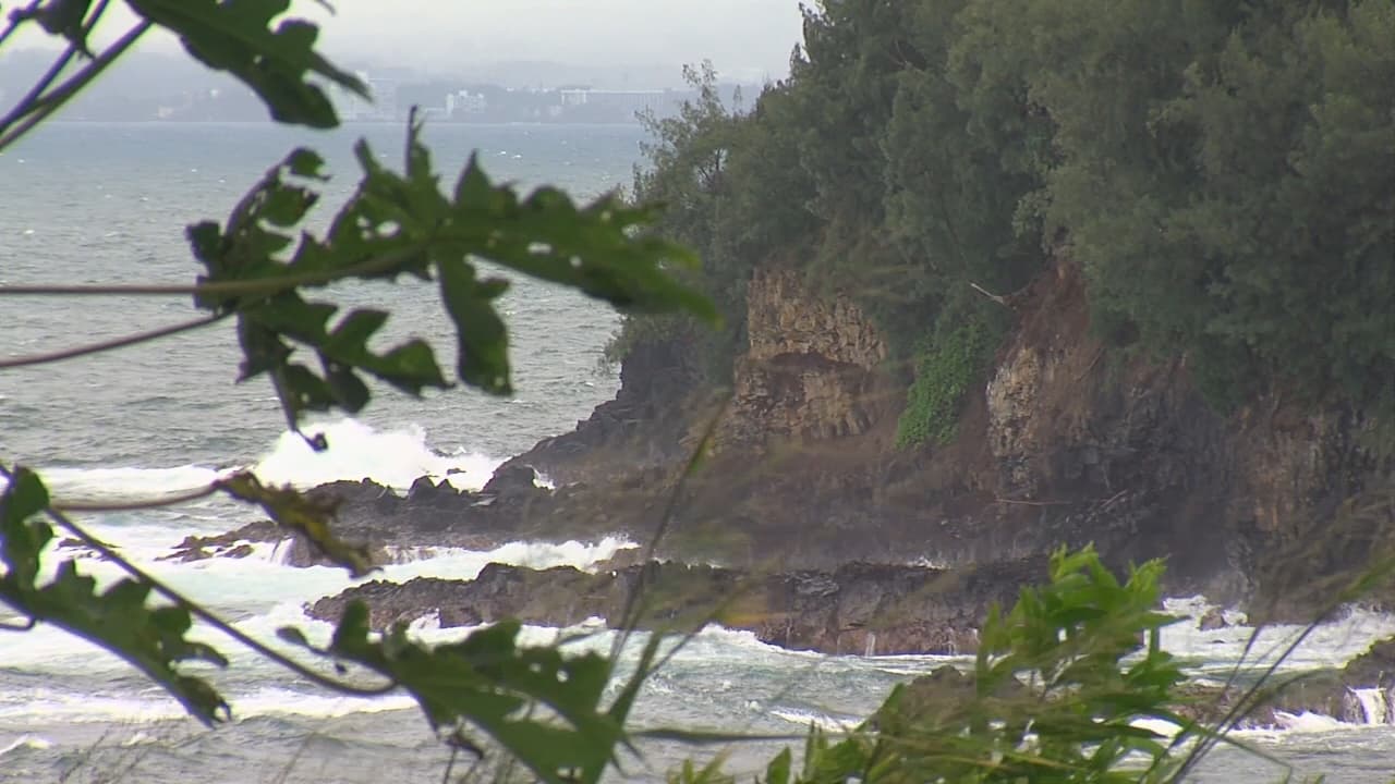 Hawaiʻi County Purchases 81-Acre Kawainui Makai for Conservation, Community Stewardship