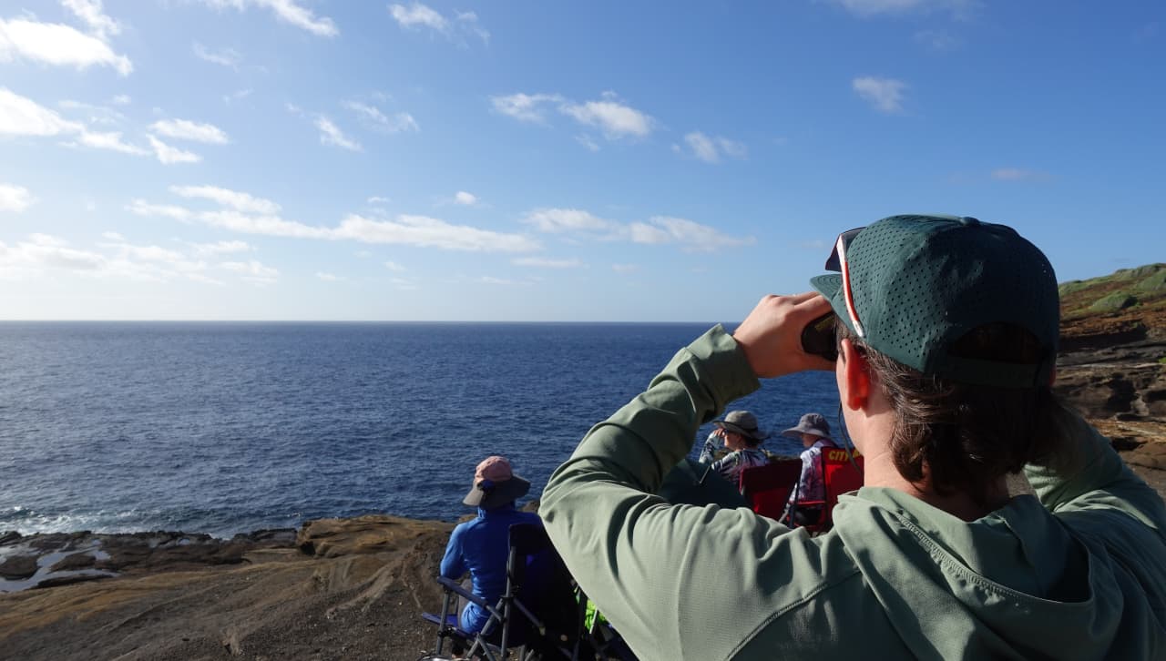 Jan. 31 count: Hawaiʻi Island volunteers spot 355 humpbacks; 1,954 statewide