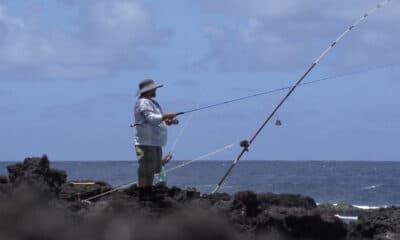 Dirt bike rider killed in Hilo crash, police investigate speed factor