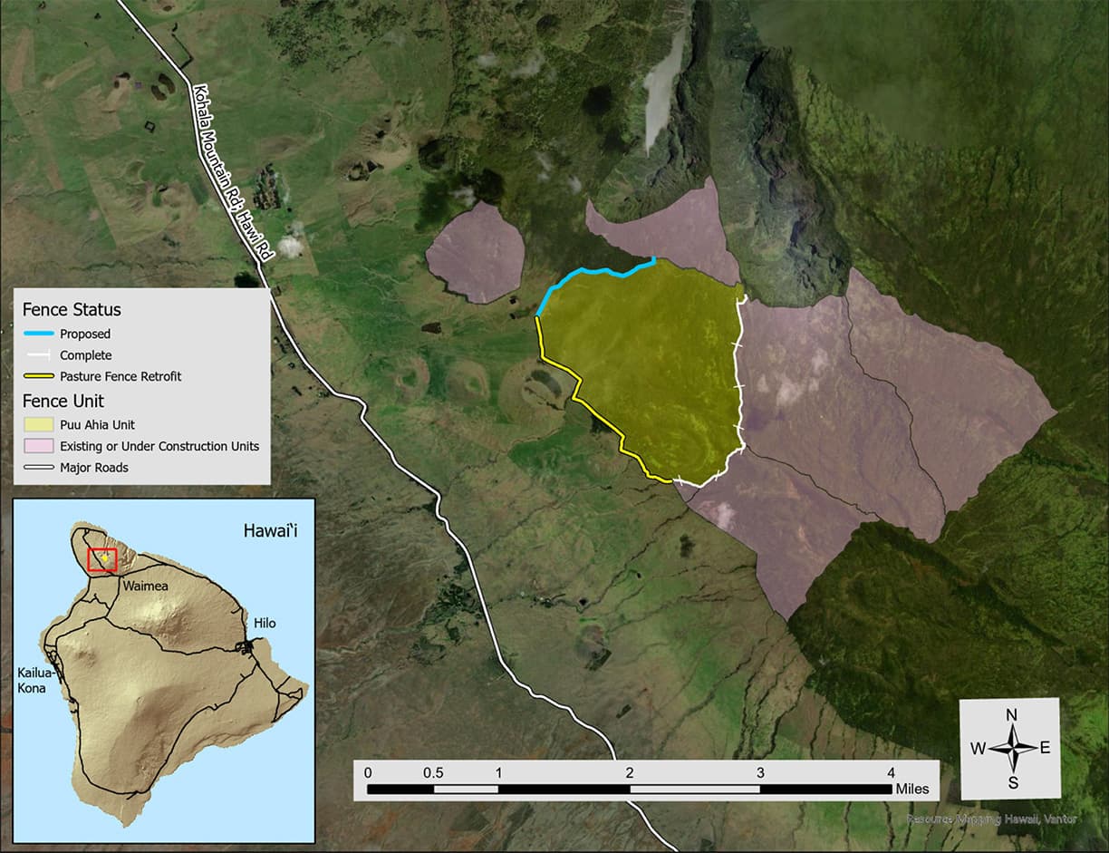 Public invited to weigh in on Kohala forest protection plan