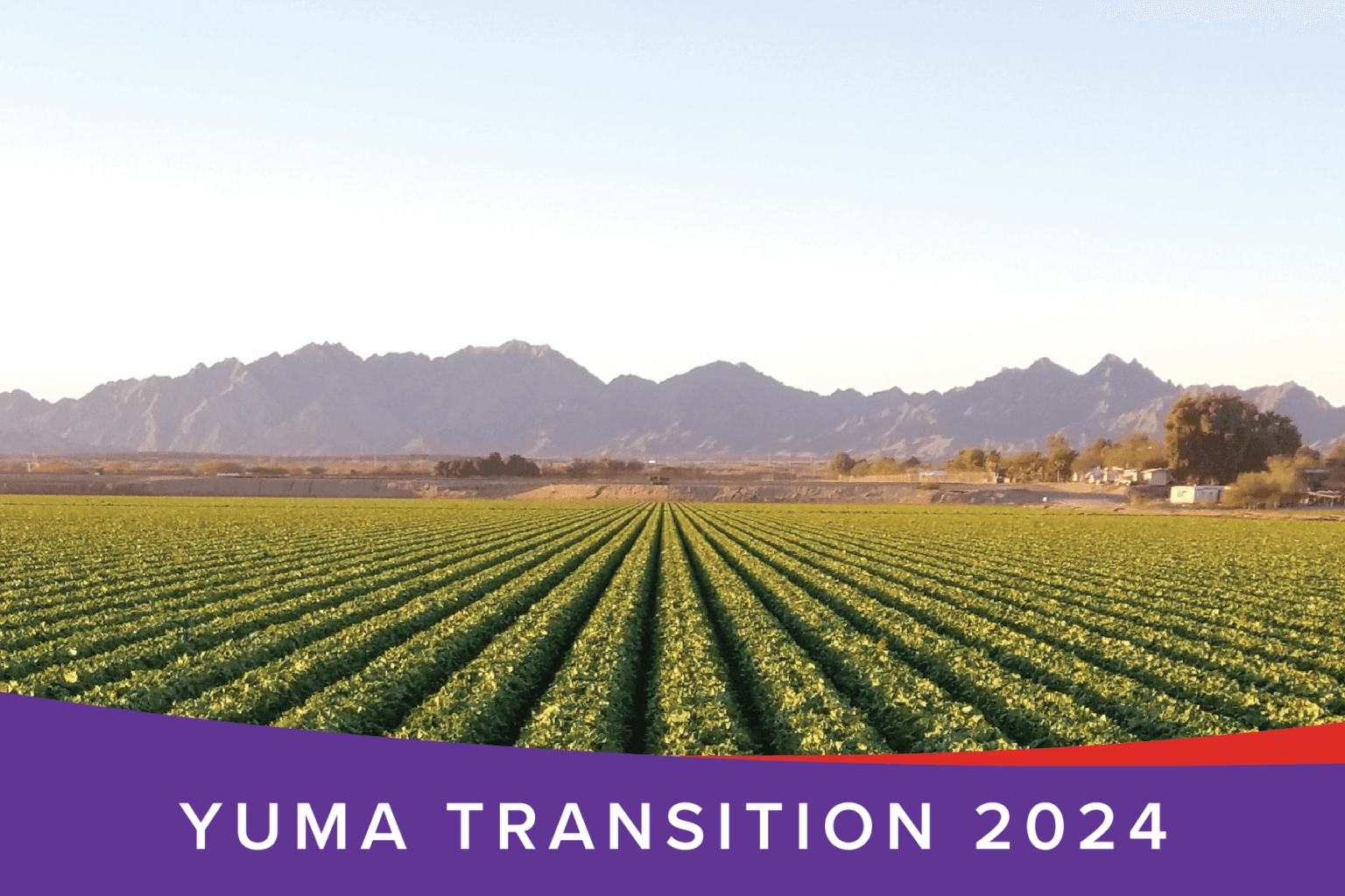 Yuma County Fuels U.S. Winter Produce Supply, Adopts New Ag Technology