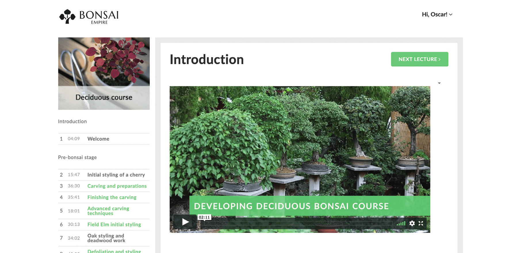 Bonsai Empire course teaches deciduous bonsai from structure to ramification