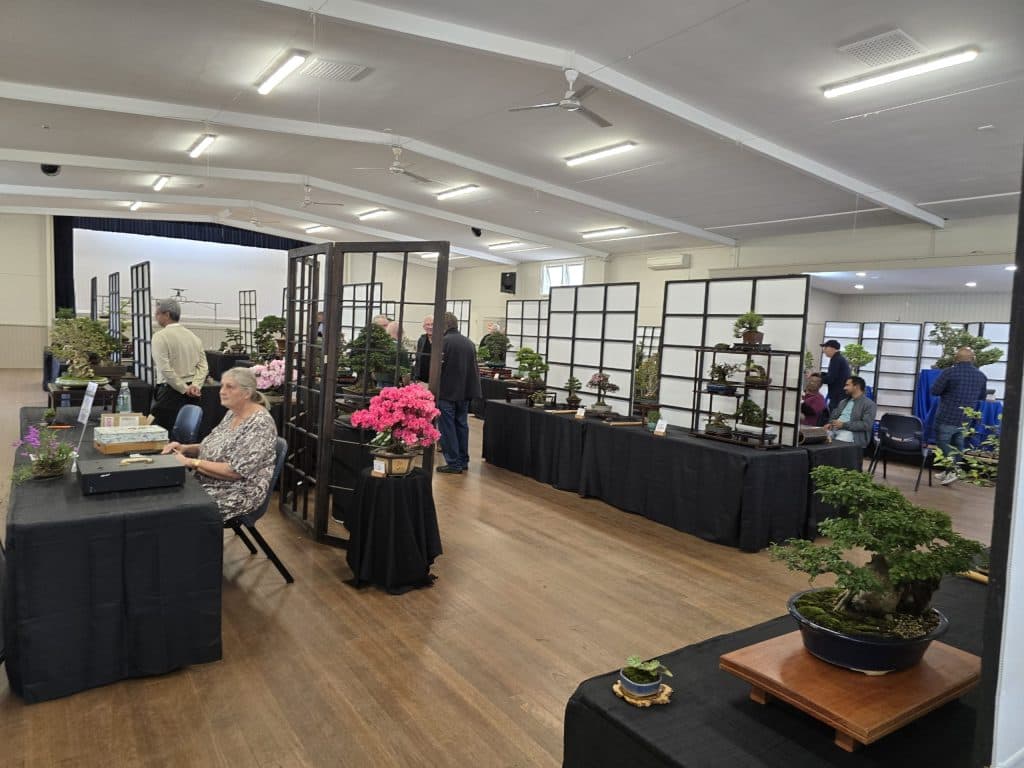 Bonsai Society of Australia spotlights Chinese penjing at June meeting