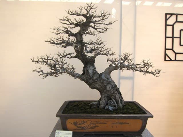 Related photo