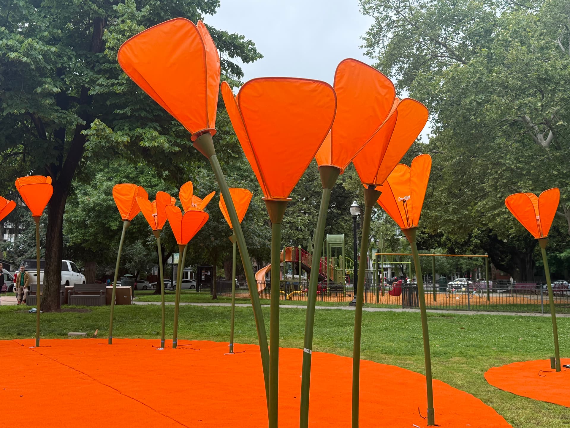 Sacramento Midtown parks bring back free yoga and wellness classes this summer